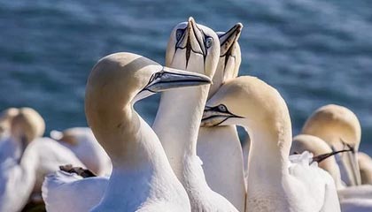 开云体育下载官网-逆转奇迹：那些让人热血沸腾的欧冠逆转比赛，欧冠最不可思议的逆转